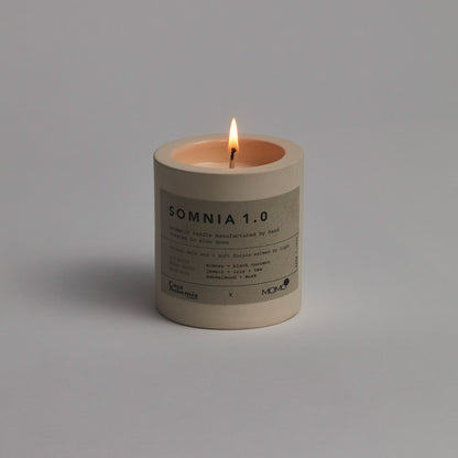 Kissenbezug-Set + Somnia 1.0